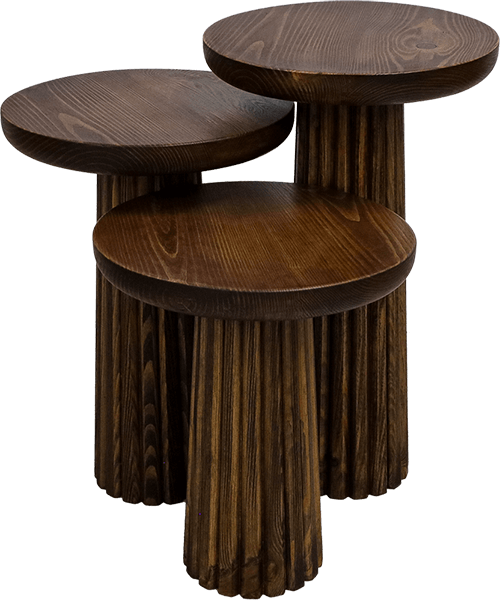 Anasayfa 85 aslw mantar goruntu noktasi