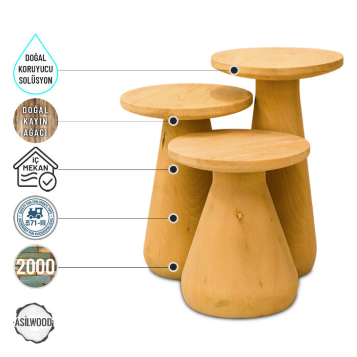 aspendos-2000-mantar-sehpa-takimi-6.jpg Aspendos 3000 Doğal Ahşap Mantar Sehpa Takımı - Görsel 5