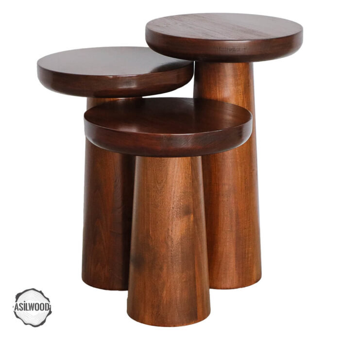 assos-1002-dogal-ahsap-mantar-sehpa-takimi-1.jpg Assos 1002 Doğal Ahşap Mantar Sehpa Takımı - Görsel 1