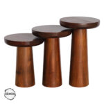 Assos 1002 Doğal Ahşap Mantar Sehpa Takımı - Görsel 2