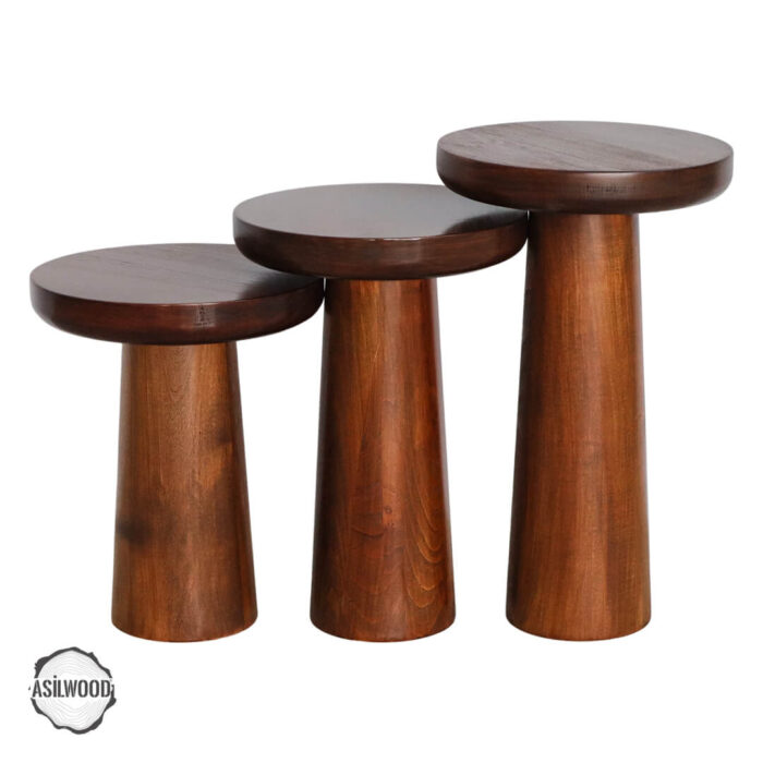 assos-1002-dogal-ahsap-mantar-sehpa-takimi-2.jpg Assos 1002 Doğal Ahşap Mantar Sehpa Takımı - Görsel 2