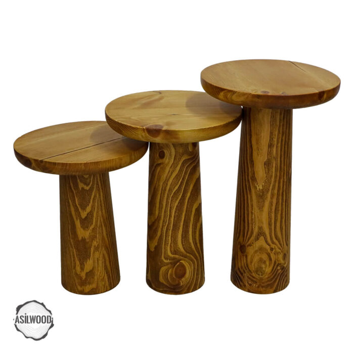 assos-1008-cam-dokulu-yuzey-mantar-sehpa-takimi-2.jpg Assos 1008 Çam Dokulu Yüzey Mantar Sehpa Takımı - Görsel 2