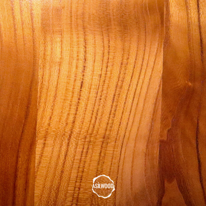 Masif Dut Masa - Oval Kenar, Bohem Ayak